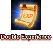 Double Experience